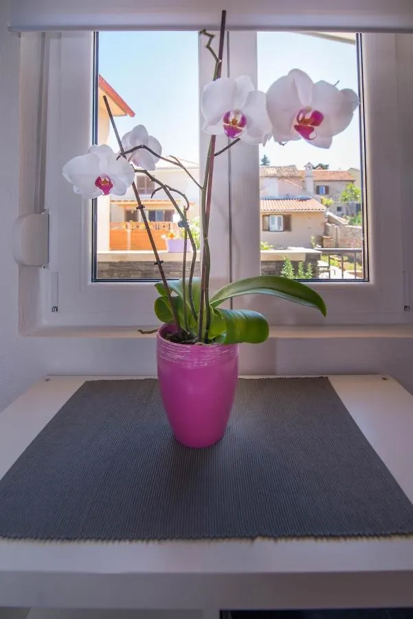 Andrej Studio A2 Veli Losinj Apartment